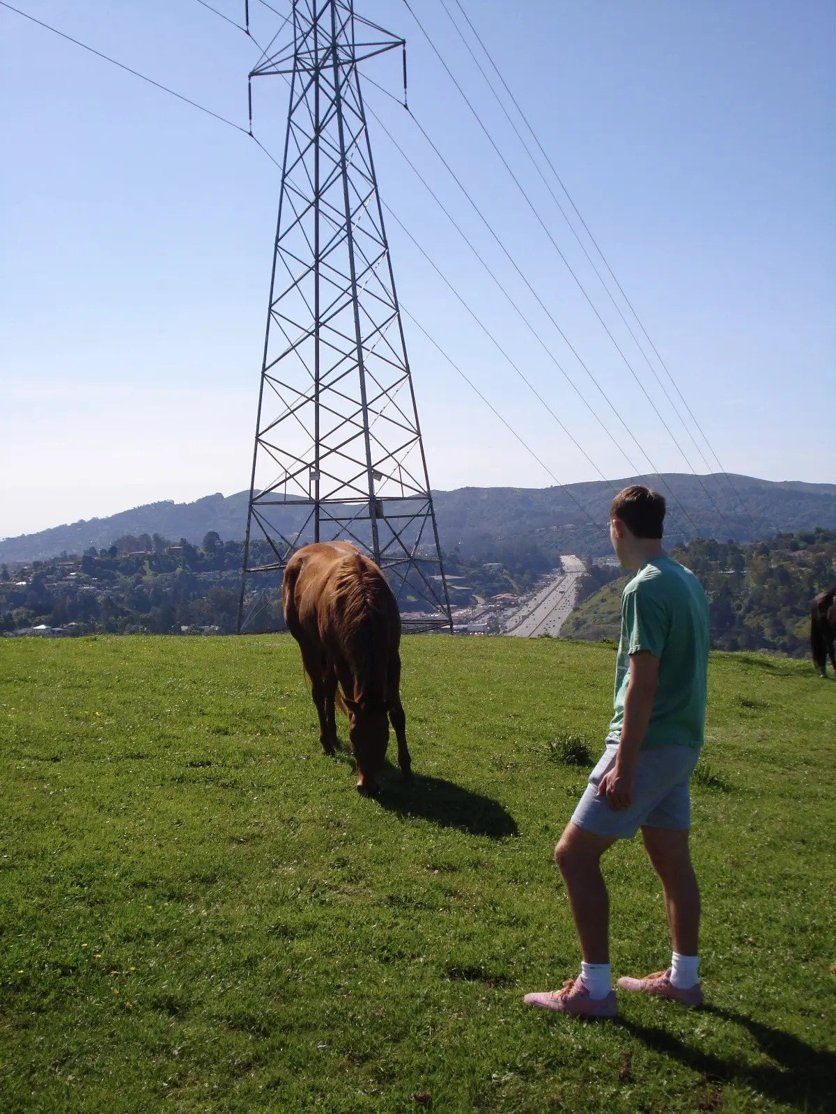 horse hill