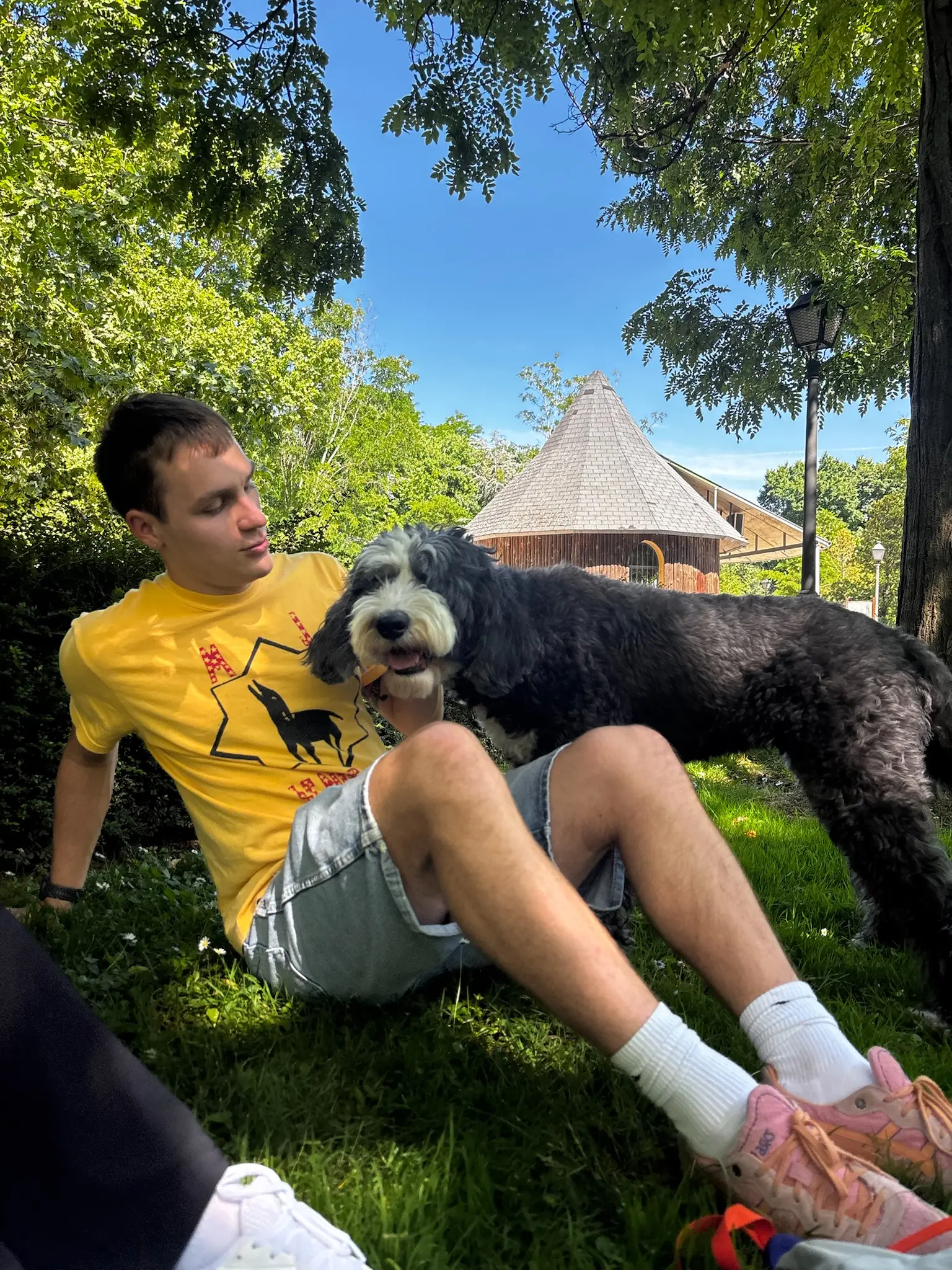 dog in spain
